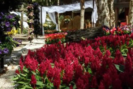 Com novo sucesso de público, Expoflora anuncia seis semanas de evento na edição de 2019