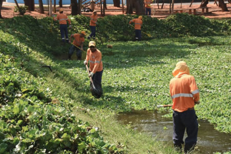 Lagoa do Jardim Amanda recebe limpeza