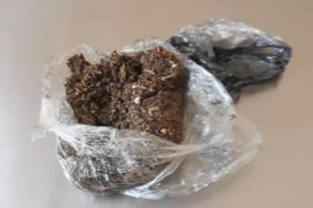 Mulher é detida com maconha nas partes inimitas na PIII de Hortolândia