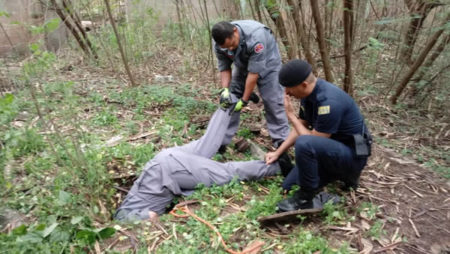 GCM e Bombeiros resgatam cadela de dentro de buraco