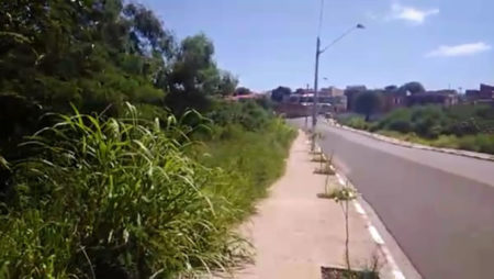 Mato alto na calçada gera transtorno e insegurança no Jardim Amanda