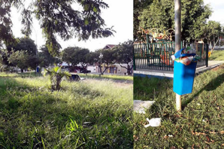Moradores reclamam de lixo e vegetação alta em praça