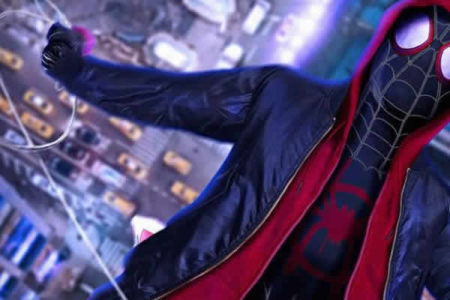 Homem Aranha no Aranhaverso (9,5)