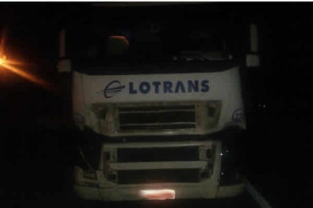 Carreta atropela 6 bois na SP 304 em Americana
