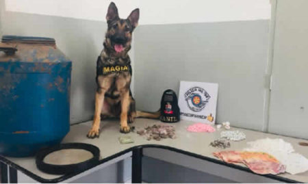 PMs e “Magia” surpreende dupla com drogas em Sumaré