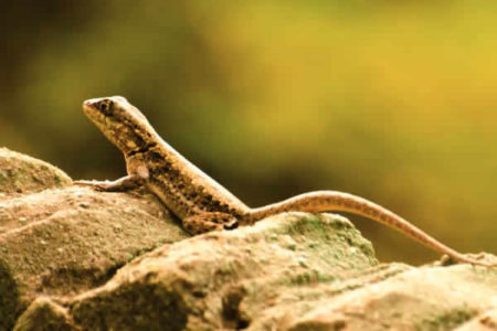 Mostra fotográfica no Shopping Hortolândia
