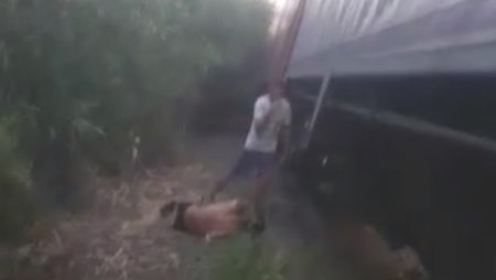 Homem tem a perna amputada após ser atropelado por trem em Hortolândia 