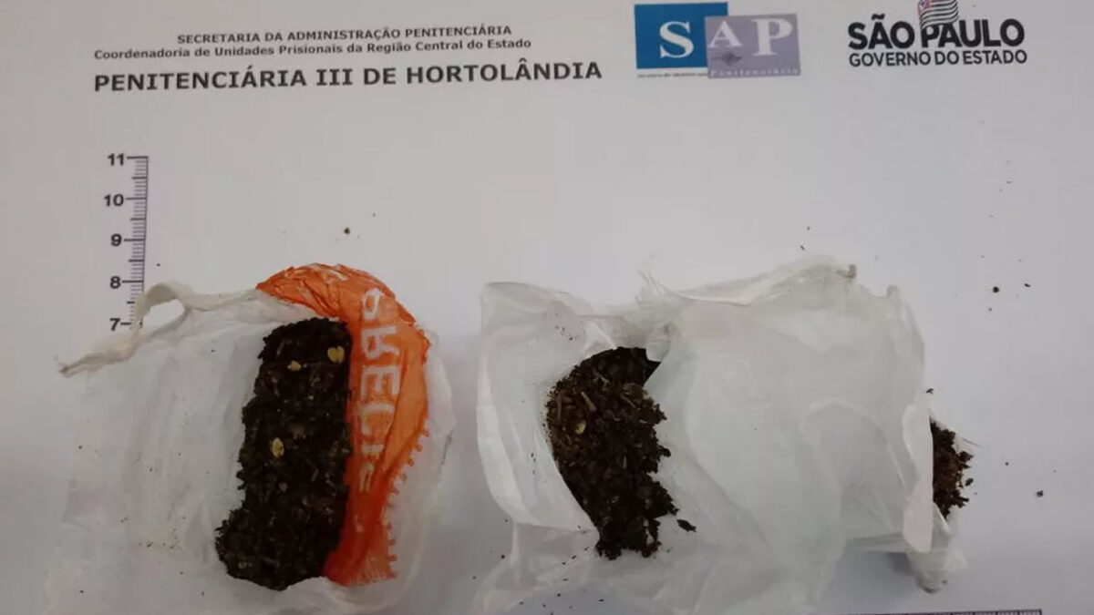 Com maconha no sutiã, duas são presas no presídeio de Hortolândia