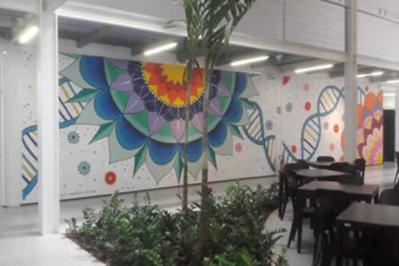 EMS doa materiais para grafites do Centro de Pesquisa Boldrini, em Campinas