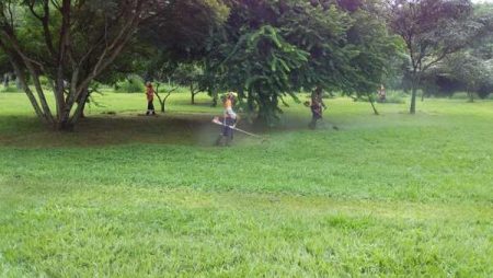 Parque Chico Mendes recebe mutirão de limpeza e poda de mato