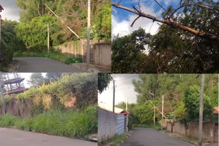 Mato alto causa transtornos para os moradores da Chácara Assay