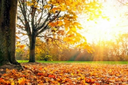 Outono começa com temperatura amena