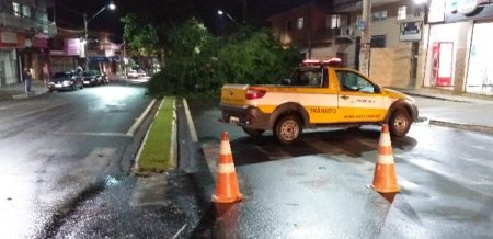 Chuva de terça-feira tem vento de 80 km/h e derruba árvores em Hortolândia