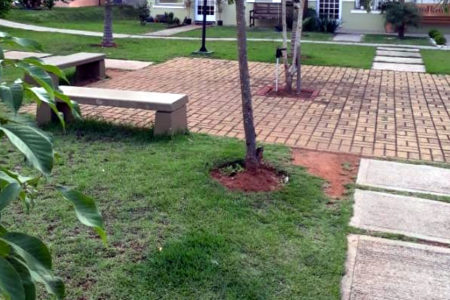 Prefeitura orienta munícipes sobre benefícios da “calçada verde”