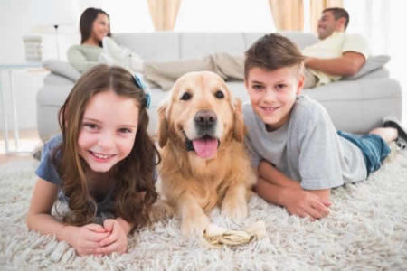 AD HORTOLÂNDIA PROMOVE A SEMANA DA FAMÍLIA