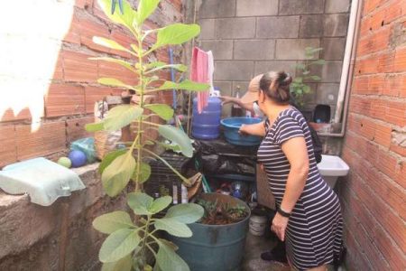Depois da chuva, você já eliminou os criadouros da Dengue do seu quintal?