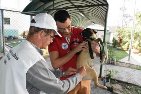 Trabalhos da Secretaria de Saúde vão para Mostra Nacional do SUS