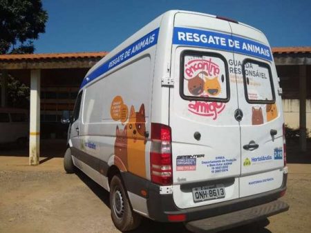 Prefeitura resgata animais feridos em veículo climatizado