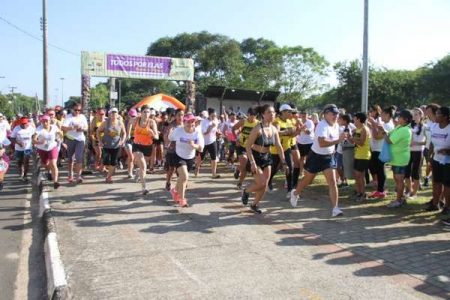 Posse de novas representantes do Conselho da Mulher é na segunda (15/04)