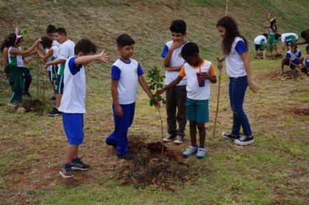 Canteiros do Pq. Lago da Fé ganharão palmeiras na quinta-feira (23/05)