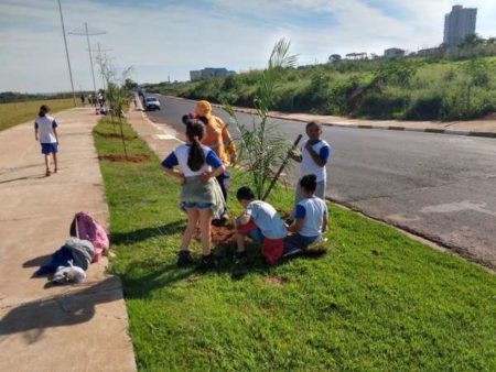 Estudantes municipais plantam palmeiras imperiais no Pq. Lago da Fé