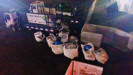 Coleta seletiva no rodeio gera renda extra a grupo de cooperados