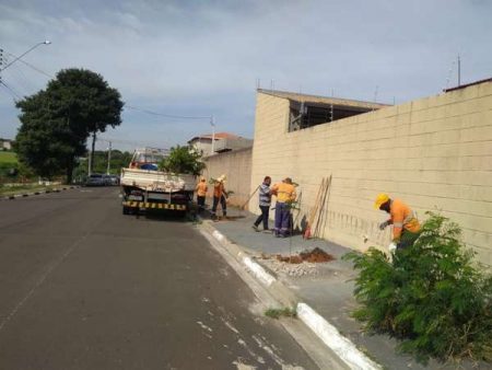 Mutirões ambientais marcam final de semana em Hortolândia