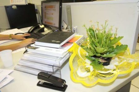 Local de trabalho também pode ter foco do mosquito da Dengue