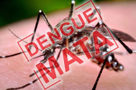 Exames confirmam morte por Dengue em Hortolândia