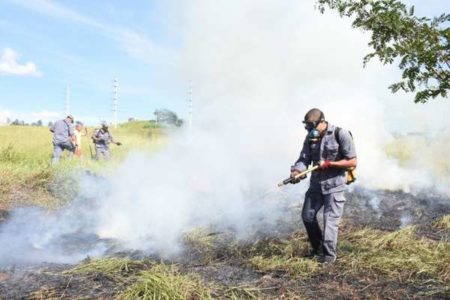 Prefeitura aprimora lei que proíbe queimadas em Hortolândia