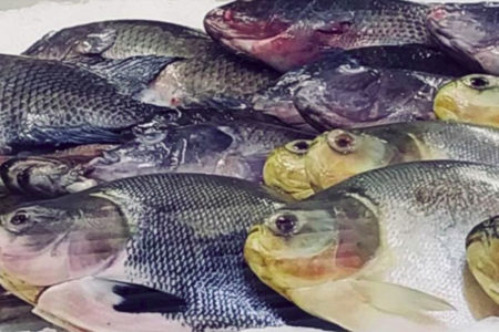 MOSTRA CÊNICA DE INVERNO COM PROGRAMAÇÃO GRATUITA