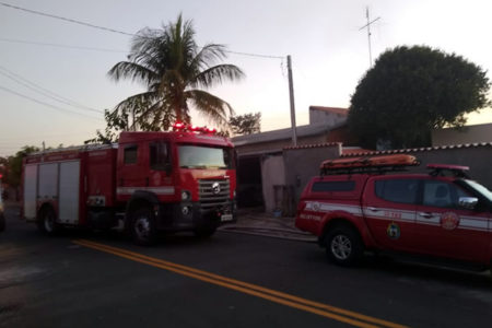 Homem provoca incêndio em residência no Amanda ao tentar espantar abelhas