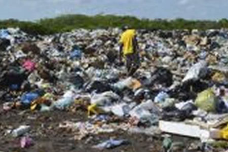 Com ações conjuntas, cidades podem ter soluções vantajosas para o lixo que geram