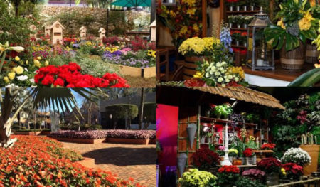 Expoflora utiliza mais de 200 mil vasos de flores na exposição e nos jardins para receber visitantes