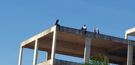 Polícia Militar salva adolescente que tentava saltar de prédio na Unicamp