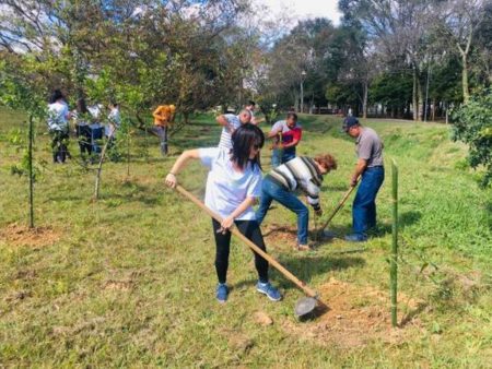 Pq. Chico Mendes ganha 150 novas mudas de árvores