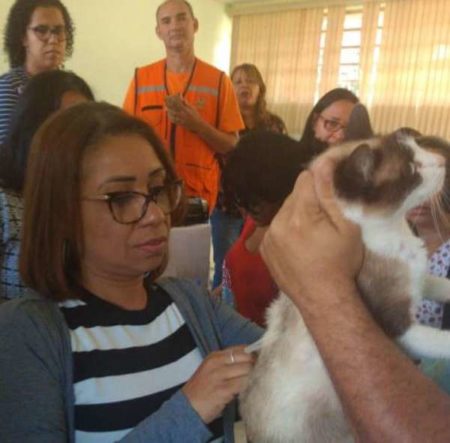 Profissionais da Saúde recebem treinamento para vacinação antirrábica
