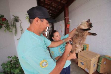 Prefeitura reforça importância de vacinar cães e gatos contra Raiva