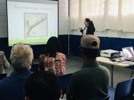 Prefeitura promove oficina sobre benefícios da arborização e técnicas de poda