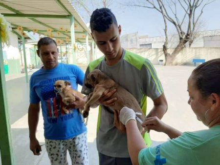 Prefeitura imuniza 16.720 animais durante Campanha de Vacinação Antirrábica