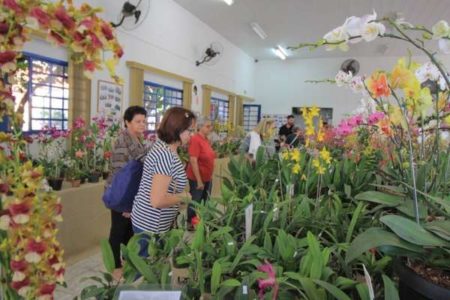 3a. Mostra de Orquídeas vai até domingo (08/09)