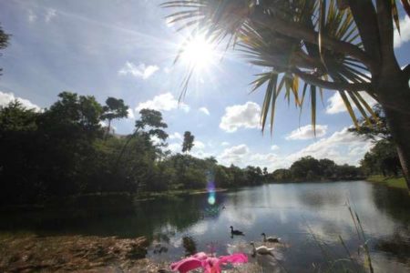 Defesa Civil de Hortolândia ensina como enfrentar onda de calor