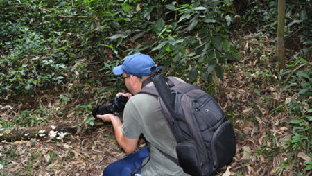 Mata Santa Genebra abre inscrições para grupo de fotógrafos