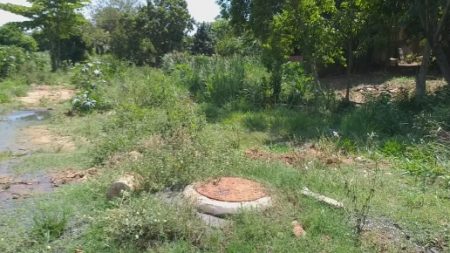 Moradores reclamam de vazamento de esgoto no Jardim Sumarezinho