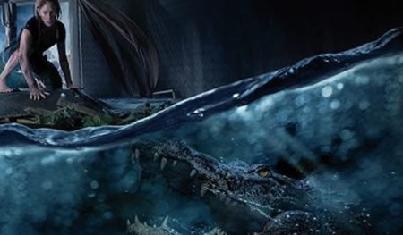 Predadores Assassinos (8,0)