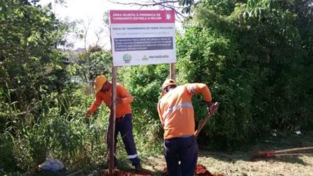 Prefeitura orienta população sobre Febre Maculosa