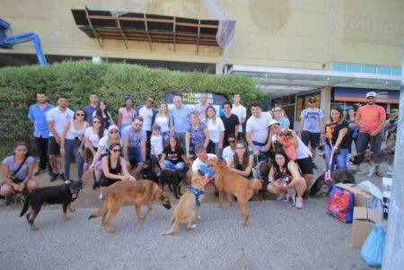 “7ª Cãominhada Bom Pra Cachorro” reúne mais de 120 animais