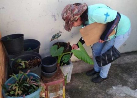 Hortolândia realiza Índice Breteau, que apura quantidade de larvas do Aedes aegypt