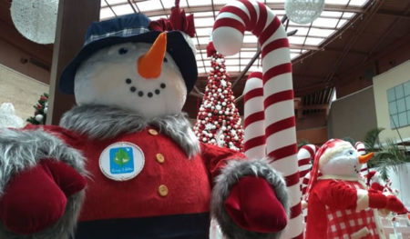 Espetáculo ‘Era uma vez na neve’ celebra a magia do Natal no Parque D. Pedro Shopping