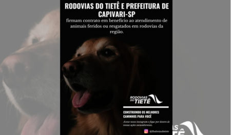 Rodovias do Tietê/ARTESP e Prefeitura de Capivari-SP firmam contrato em benefício ao atendimento de animais feridos ou resgatados em rodovias da região